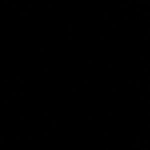 Meet your Posher, Maxiel